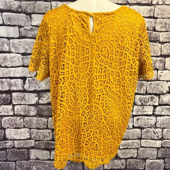 Philosphy Gold Lace Short Sleeve Blouse Size XXL - Picture 5 of 9